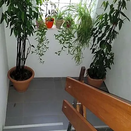 여관 Roessle Ochsenwang