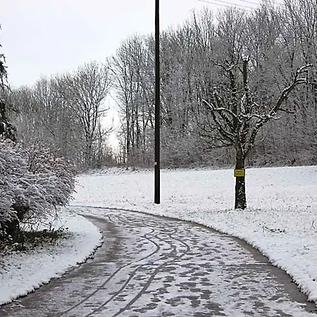 Roessle Ochsenwang *